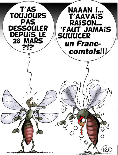 Blague   2 moustiques dicutent   t'as toujours pas dessouler depuis le 28 mars   non t'avais raison faut jamais sucer un franc comptois