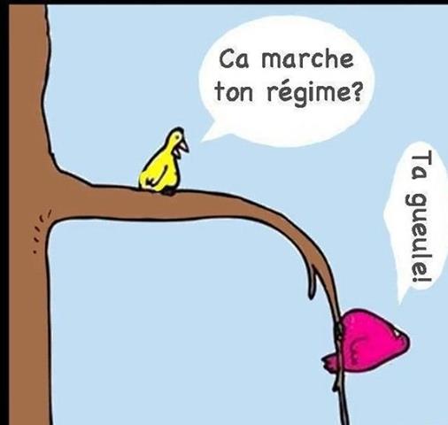 Blague   2 oiseau l'1 dit à l'autre ça marche ton régime l'autre répond avec la branche qui plie ta gueule
