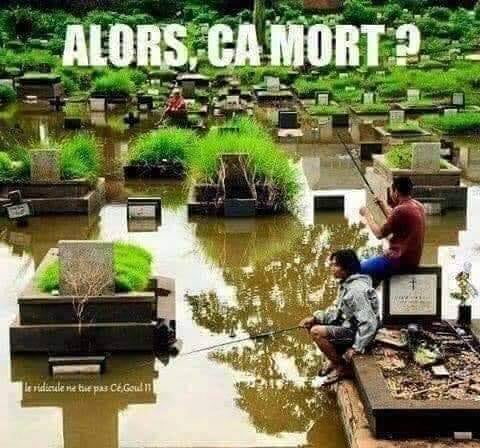 Blague   Alors ça mort