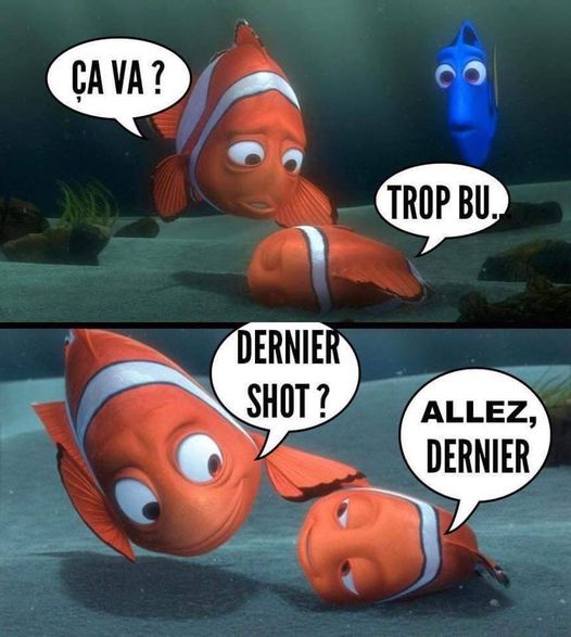 Blague   alcool   ça va l'autre répond Trop bu