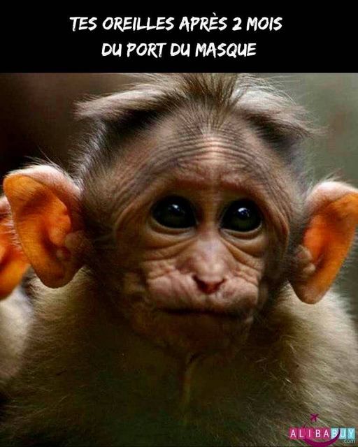 Blague   aprsè 2 mois du port du masque