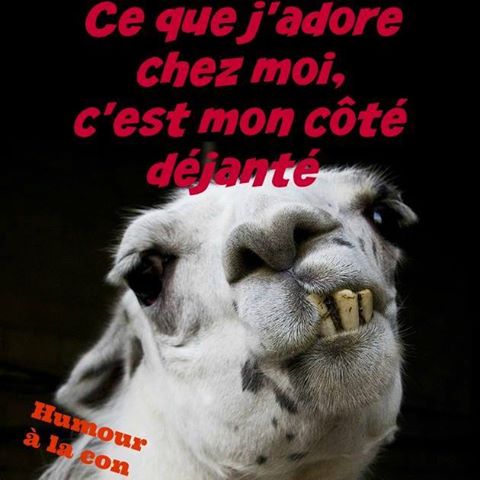 Ce que j'adore chez moi c'est mon côté déjanté