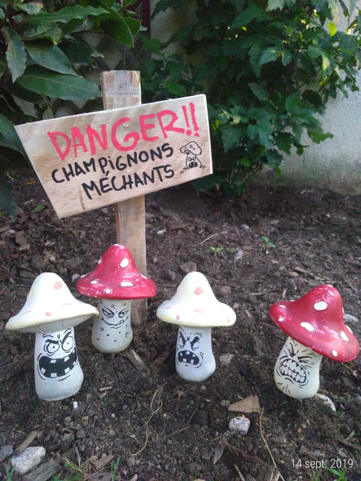 Flore   blague   champignon méchant