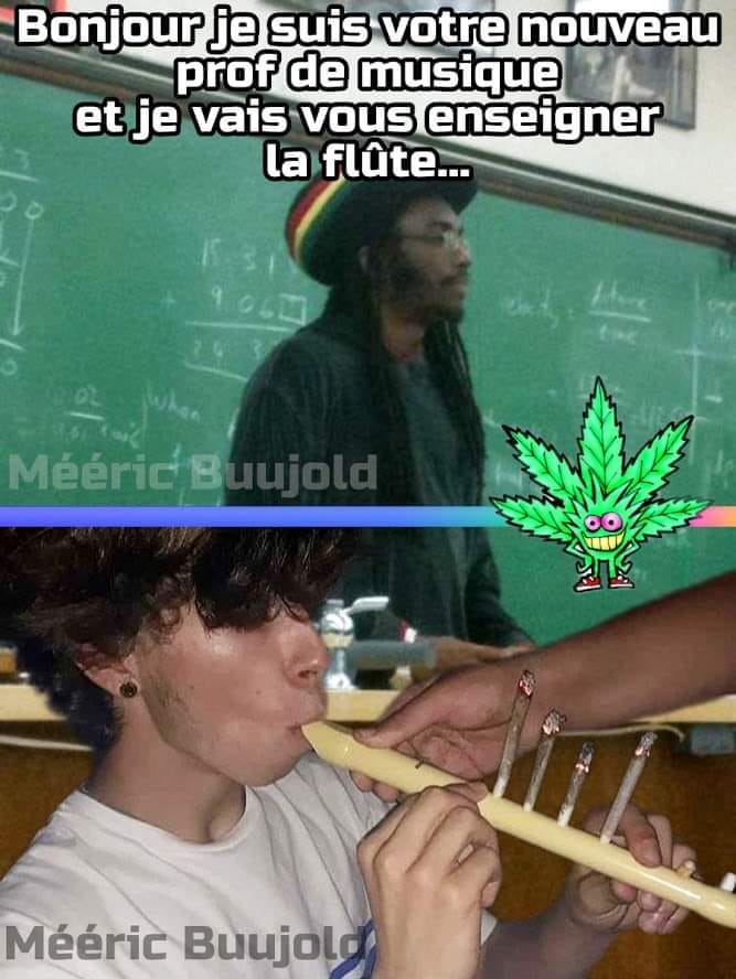 Blague   Chanvre cannabis   bonjour je sui svotre nouveau prof d emusique et je vais vous enseigner la flute