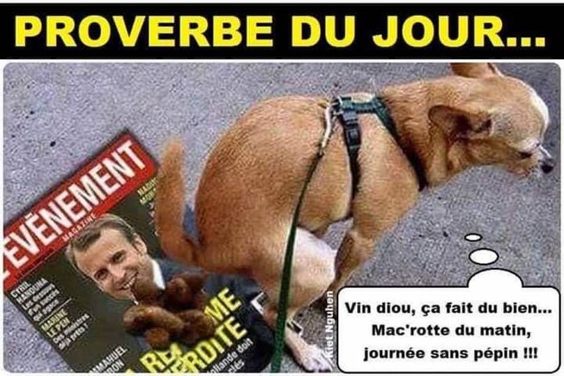 Blague   Chien   qui chie sur macron