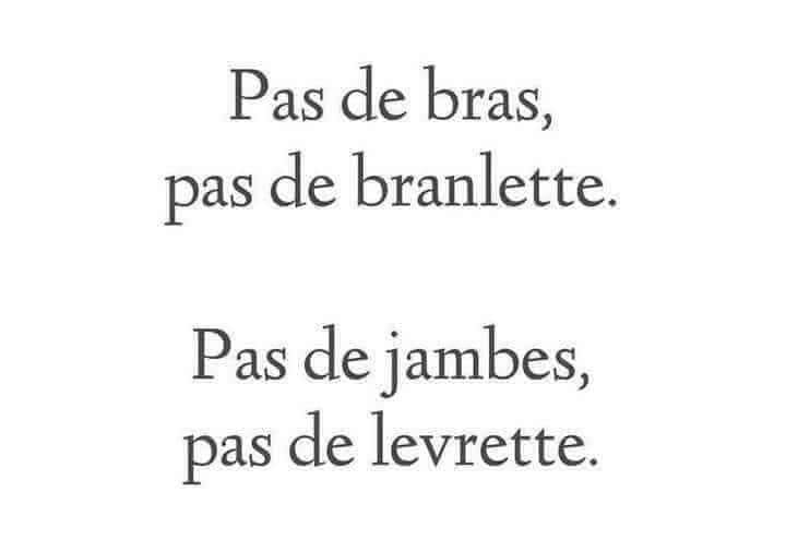 Blague   Citation   pas de bras pas de branlette pas de jambes pas de levrettes