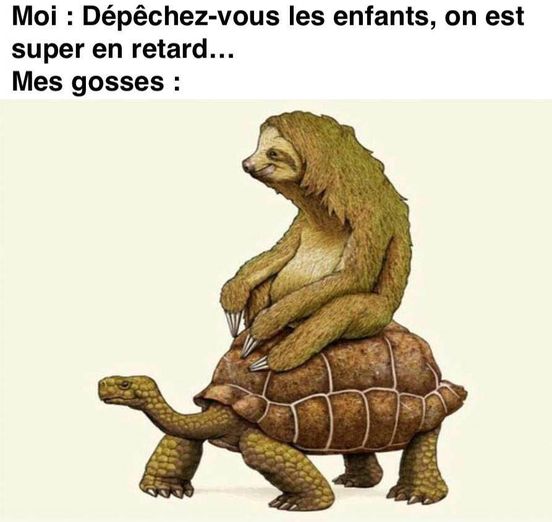 Blague   caricature   dépéchez vou les enfant on est uper en retard   mes gosse