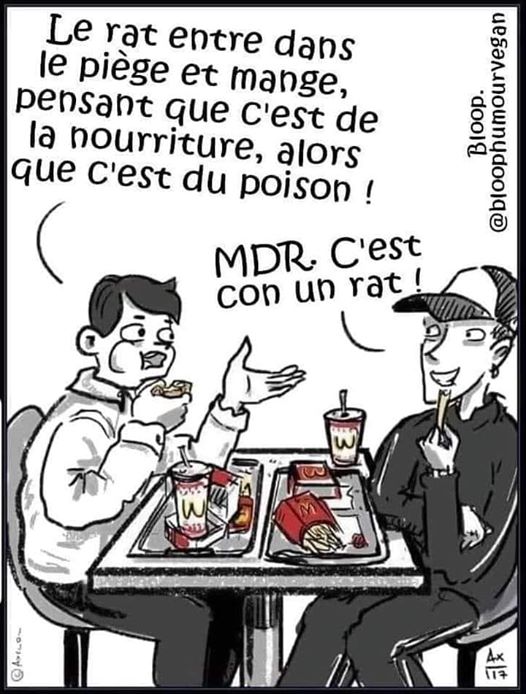 Blague   caricature   enfants qui mange au mac do   l'un dit le rat entre dans le piège et mange pensant que c'est de la nourriture alors que c'est du poison