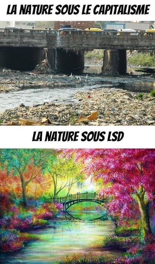 Blague   caricature   la nature sous le capitalisme la nature sous LSD