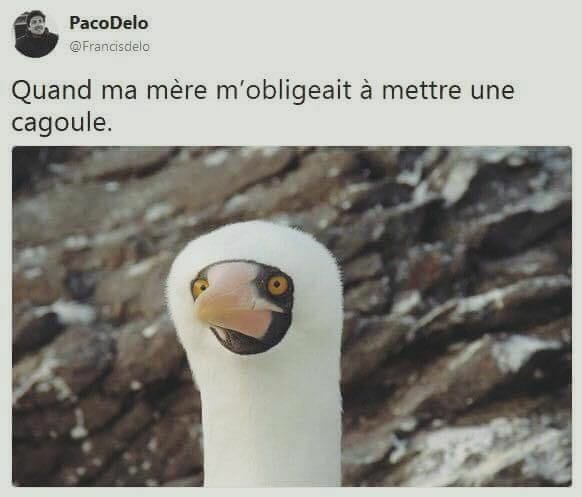 Blague   caricature   quand ma mère m'obligeait à mettre une cagoule