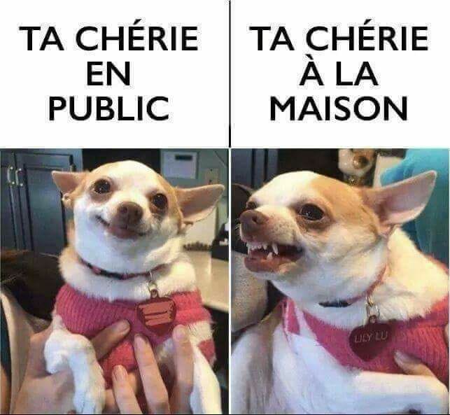 Blague   caricature   ta chérie en public   ta chérie à la maison