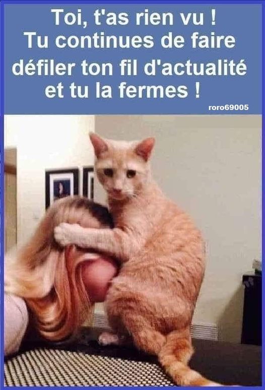 Blague   chat qui se fait sucé   toi t'as rien vu