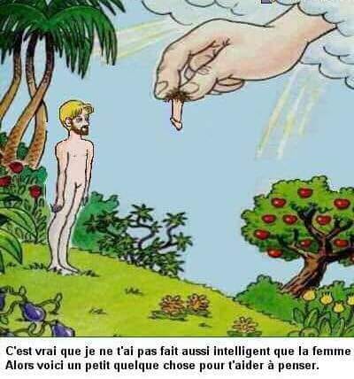 Blague   Dieu   c'est vrai que je ne t'ai pas fait aussi intéligent que la femme alors voici un petit quelque chose qui peut te faire penser