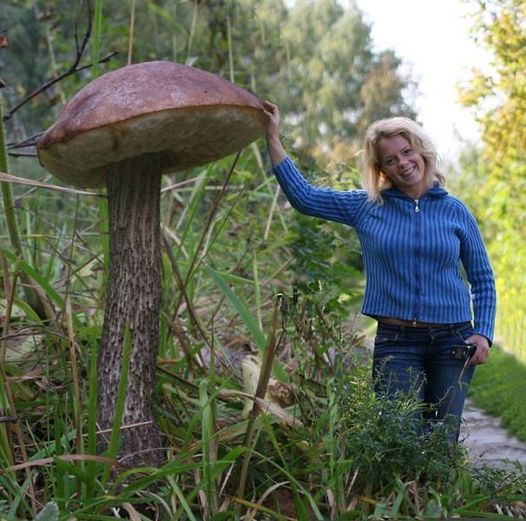 Blague   Et pendant ce temps a tchernobyl