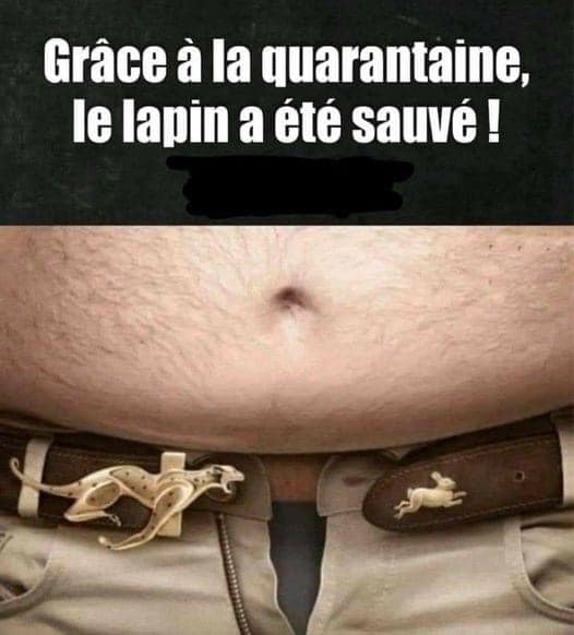 Blague   grace à la 40 ène le lapin a été sauvé