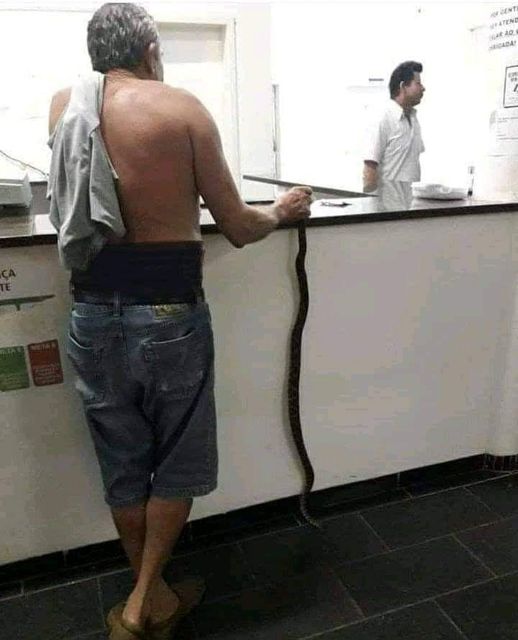 Blague   homme a l'acceuil qui fait une blague en cachant un serpent ou couleuvre dans sa main derrière