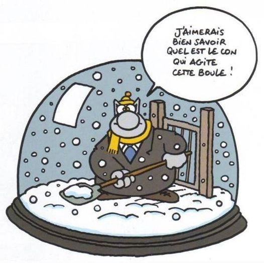 Blague   homme dans boules avec neige qui ramasse la neige et qui dit j'aimerais bien savoir quel est le con qui agite cette boule