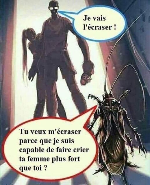 Blague   homme qui dit au cafar je vais t'écraser et cafard qui dit tu veux m'écraser parce je suis capable de faire crier ta femme plus fort que toi