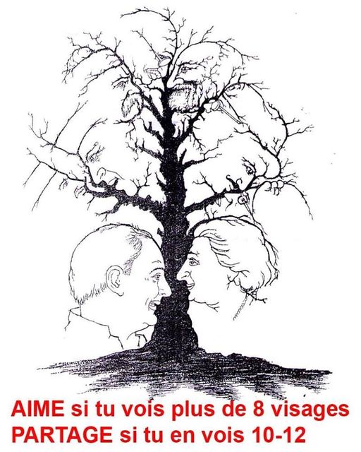 Blague   Jeux   de vision   aime si tu vois 8 visgae partage si tu en vois 10 12