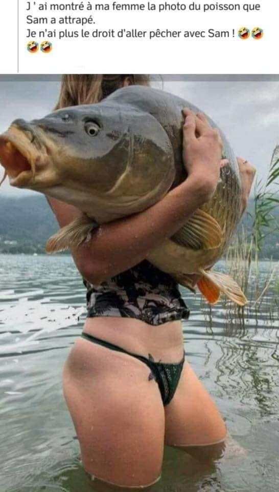 Blague   j'ai montrer la photo à ma femme du poisson quelle a attrapé je n'ai plus le droit d'aller pécher avec sam