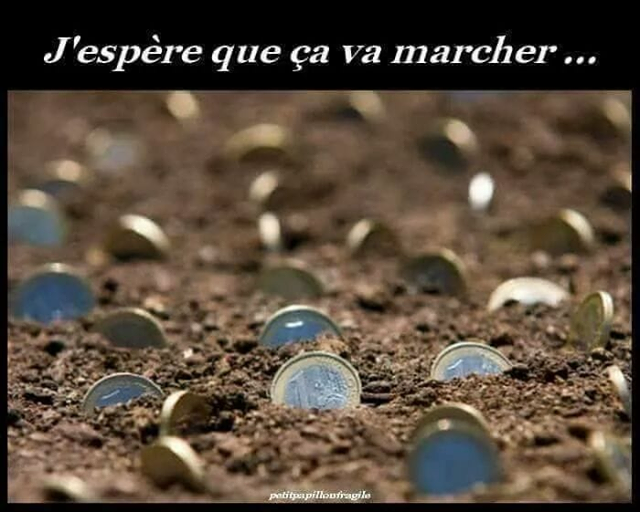 Blague   je fais pousser de l'argent et de l'or et du platine j'espère je que ça va pousser
