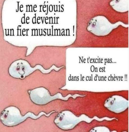 Blague   je me réjoui de devenir un fier musulman   ne t'exite pas on est dans le cul dune chèvre