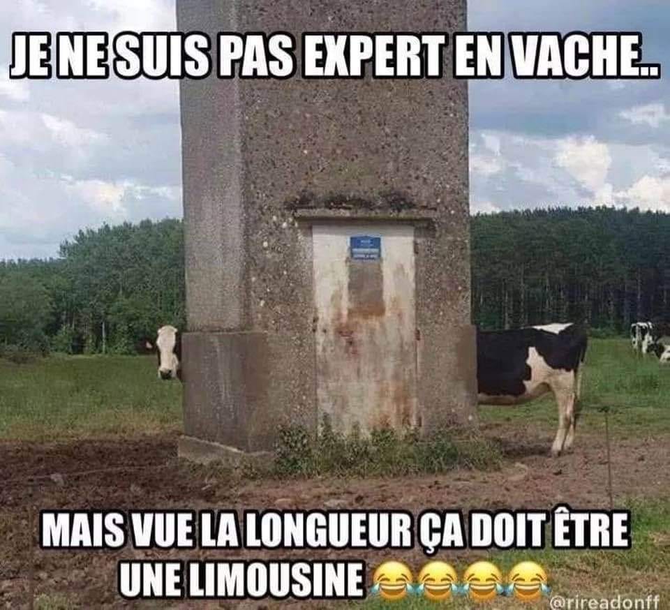 Blague   je ne suis pas epert en vache mais vu la longueur ça doit être une limouine   vache devant et derrière un compteur electrique