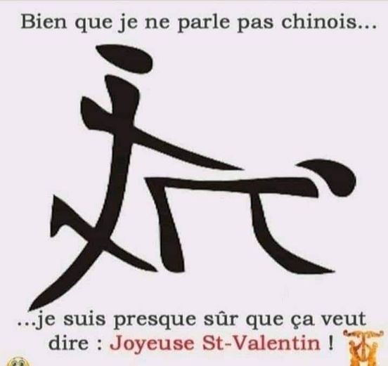blague   je ne parle pas chinois, mais je suis sur que ça veut dire bonne saint valentin