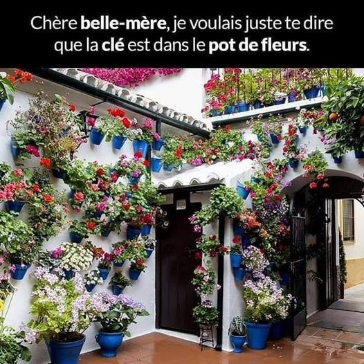 Blague   la clé est dans le pot de fleur