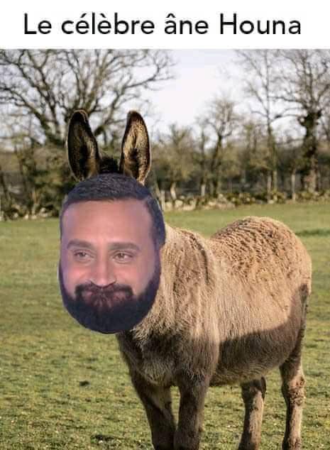 Blague   le célèbre ane houna