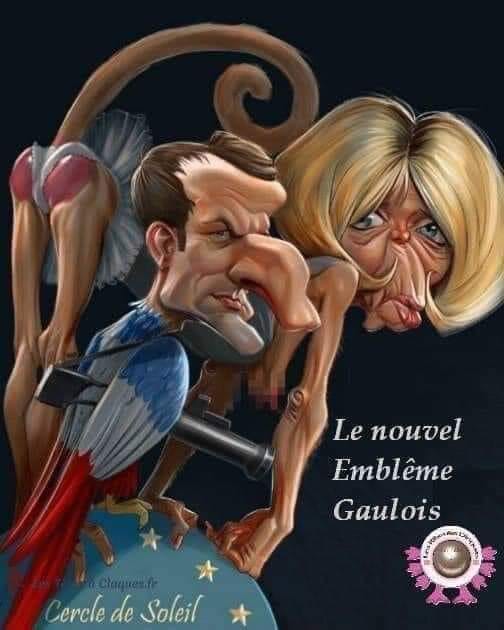 Blague   le nouvel emblème gaulois