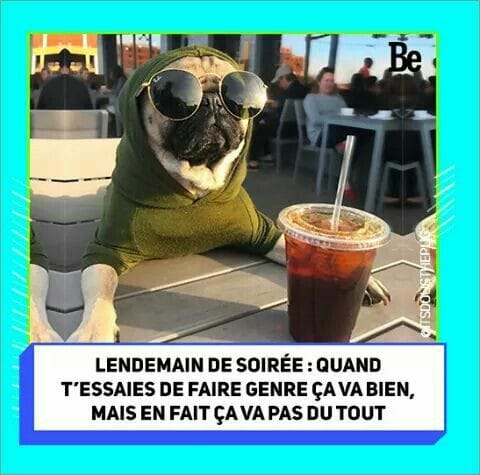 Blague   lendemain de soiréee quand t'essaie de faire genre ça va bien mais en fait ça ne va pas du tout