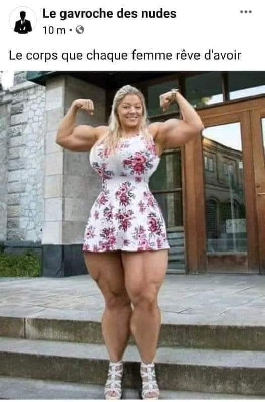 blague   le corps que chaque femme rêve d'avoir