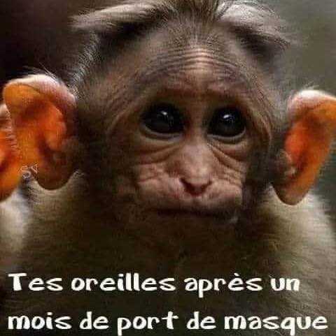 Blague   masque   tes oreilles après un mois de port de masque
