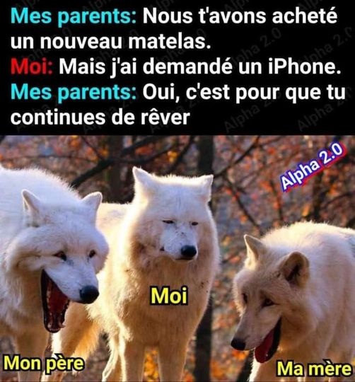 Blague   mes parents,nous t'avons acheté un nouveau matelas l'enfant mais j'ai demandé un iphone mes parents oui,c'est pour que tu continues de rêver