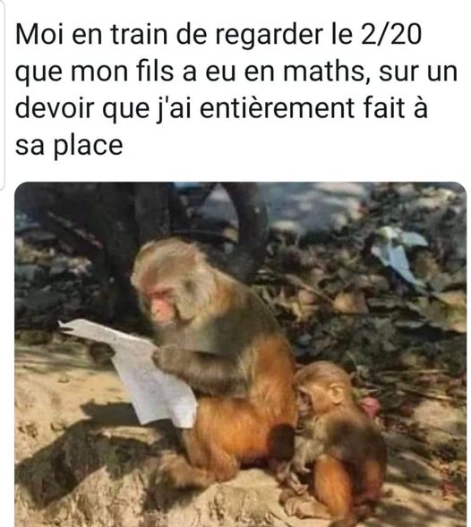 Blague   moi en train de regarder de 2 sur 20