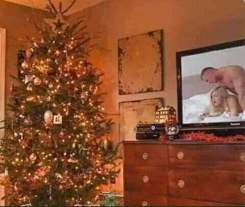 Blague   noel   sapin et télévision allumé