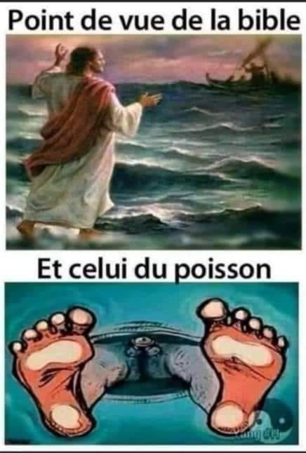 Blague   point de vue de la bible   et celui du poisson
