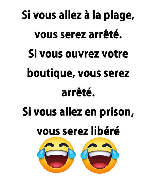 Blague   politique   2020  si vous allez à l aplage vous serez arrêté si vous ouvrez votre boutique vous serez arrêté   si vous allez en prison vous sere zlibéré