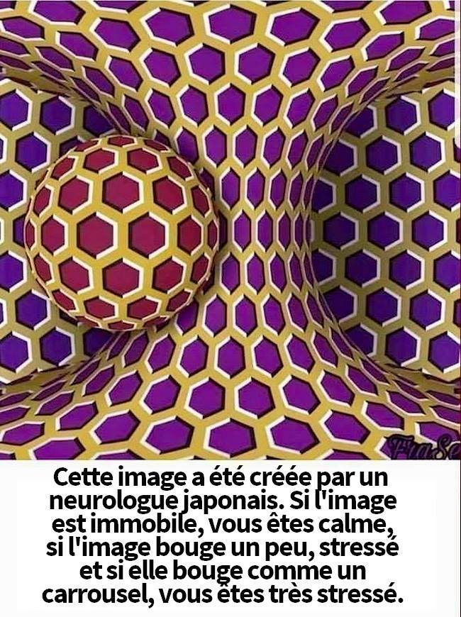 Blague   psychologie   image crée par un neurologue pour voir le stress 