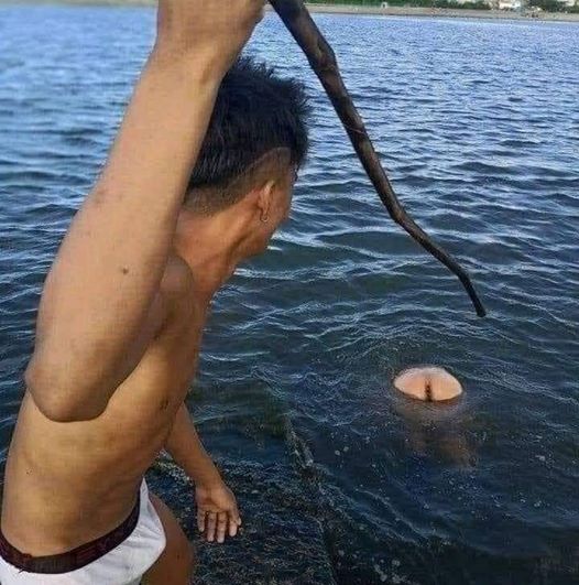 Blague   pêche à l alance