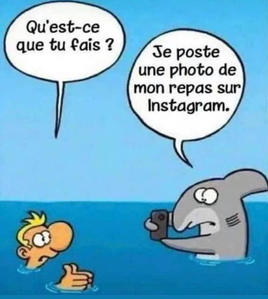 Blague   qu'est ce que tu faais le requin dit je publient des photo de mon repas sur instagram