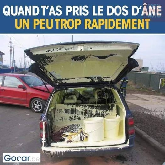 Blague   quand tu as pris le dos d'ane un peu trop rapidement   voiture avec sot d epeinture qui a déborder