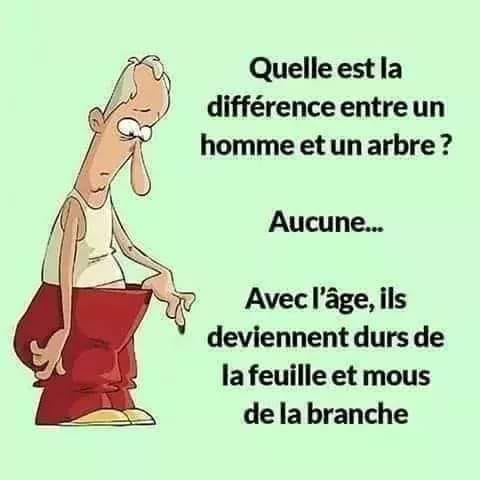 Blague   quelle est la différence entre un homme et un arbre   aucune   avec l'ae ils deviennent durs de la feuille et mous de la branche