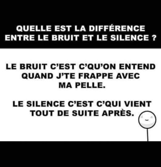 Blague   quelle est la différence et le bruit et le silence   le bruit c'est c'qu'on entend quand jte frappe avec ma pelle le silence c'est ce qui vient tout de suite après