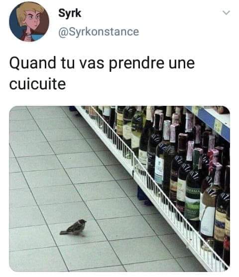 blague   quand l'oiseau veux prendre une cuite