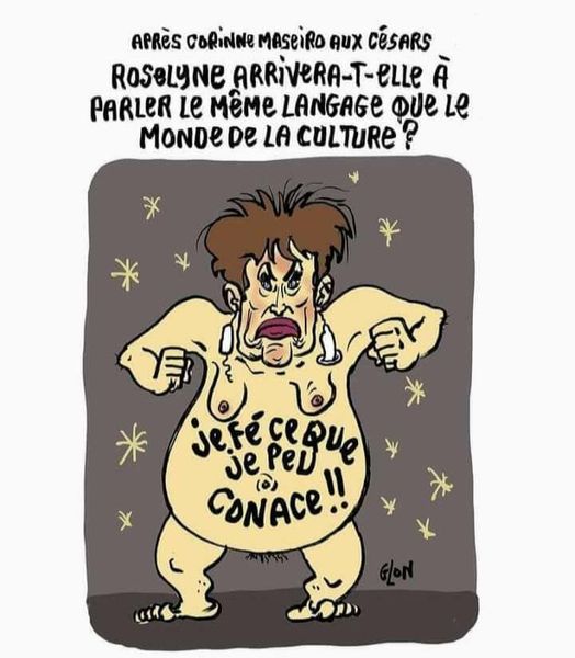 Blague   roselyne arrivera t elle à parler le même language que le monde de la culture