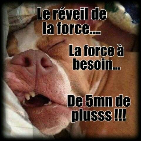 Blague   révéil   caricature   le révéil de la force   la force a besoin de 5 minute de +