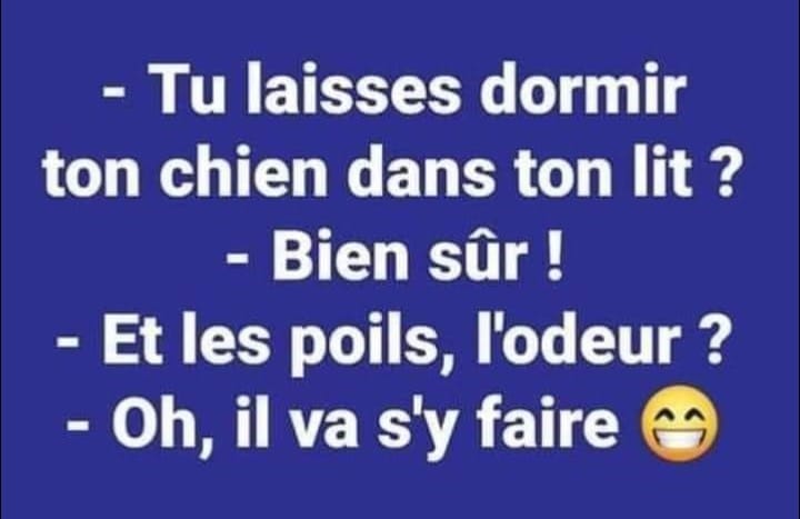 Blague   tu laisse dormir ton chien dans ton lit   bien sur   et les poils l'odeur   oh il va s'y faire