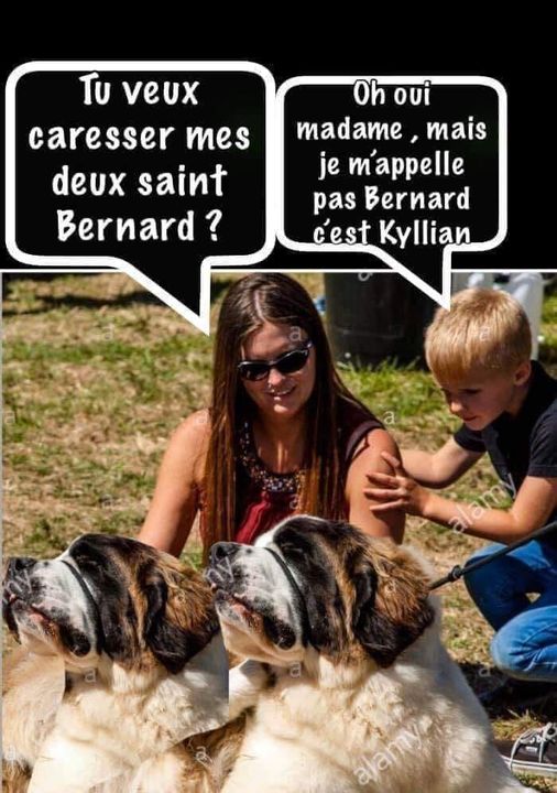 Blague   tu veux caresser mes 2 saint bernard   oh oui mais je m'appelle pas bernard moi c'est kylian